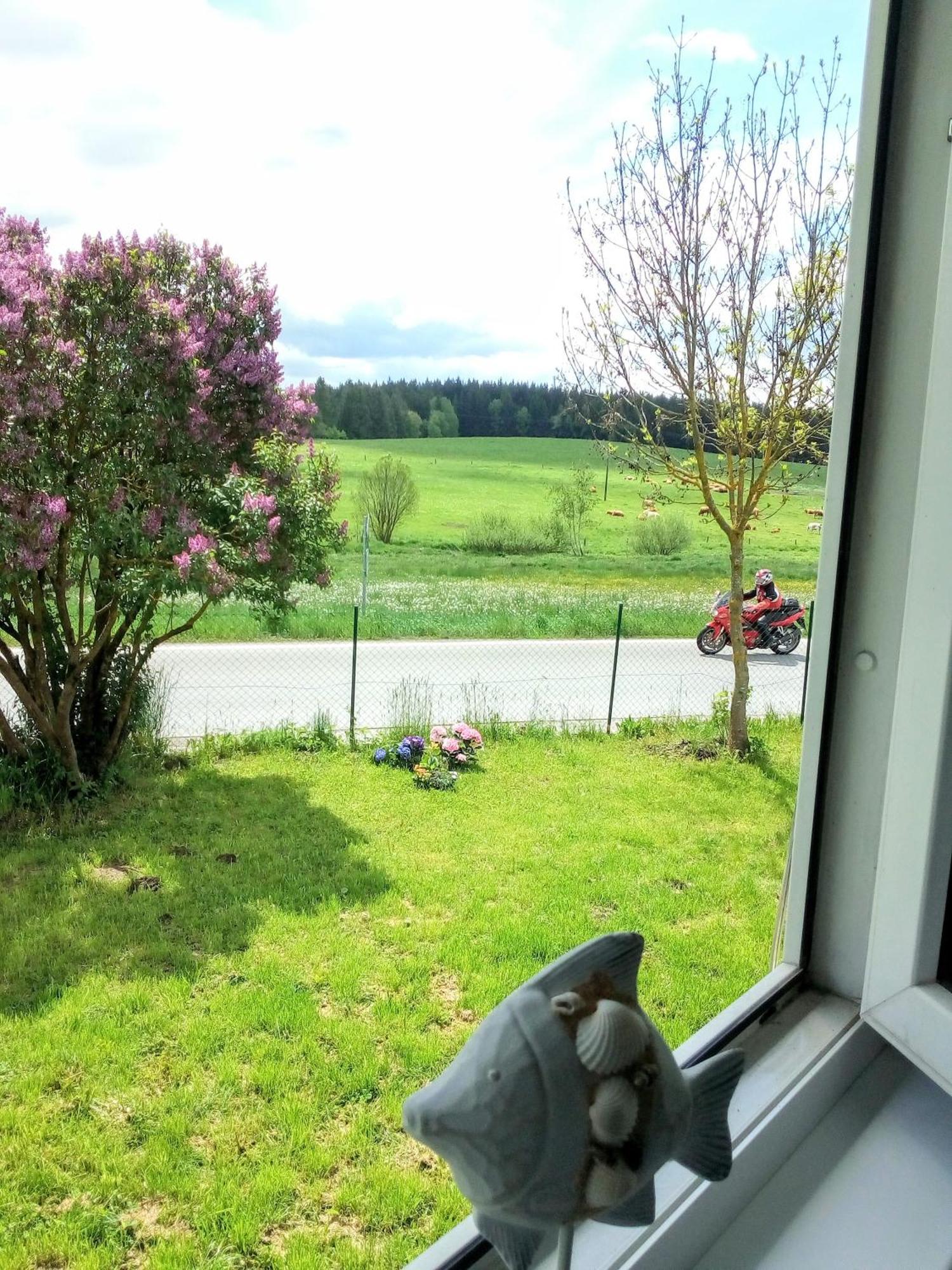 Apartman U Lipna, Pro Cyklisty, Motorkare Frymburk Exteriör bild
